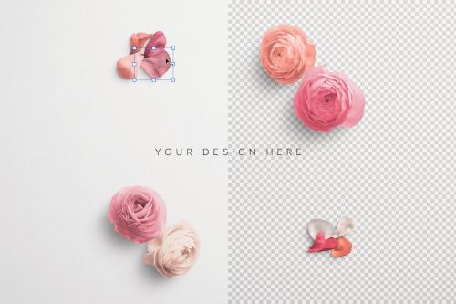 Ranunculus Custom Scene Creator Template 5