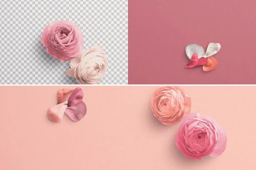 Ranunculus Custom Scene Creator Template 5