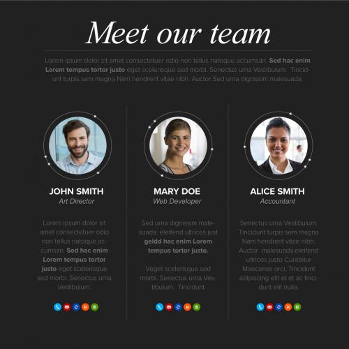 Meet Our Company Team Dark Presentation Layout - 438722190
