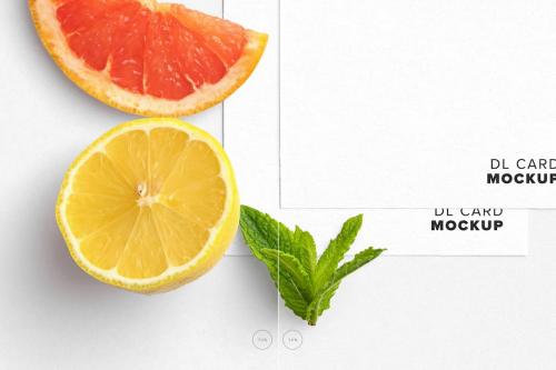 Cocktail Menu Mockup DL Size