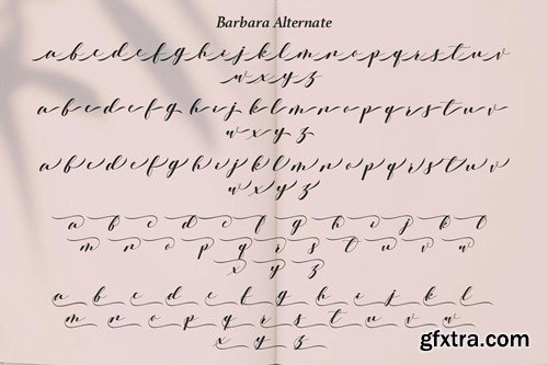 Barbara - A Classy Script Font 3ADAKUY