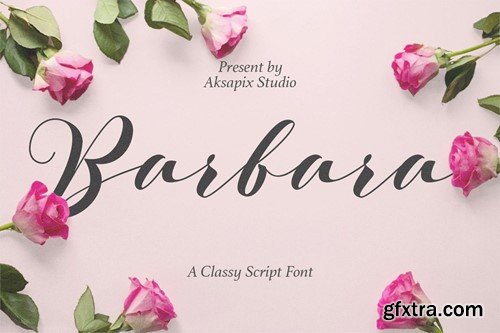 Barbara - A Classy Script Font 3ADAKUY