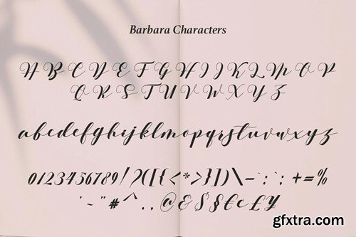 Barbara - A Classy Script Font 3ADAKUY