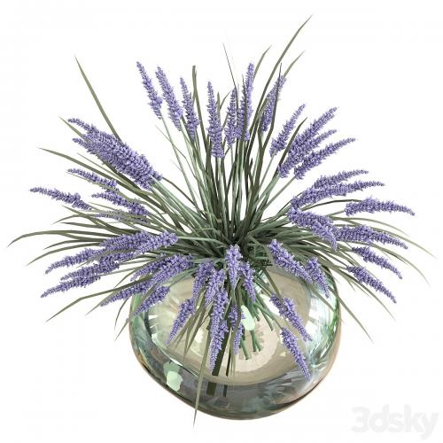 Bouquet of lavender