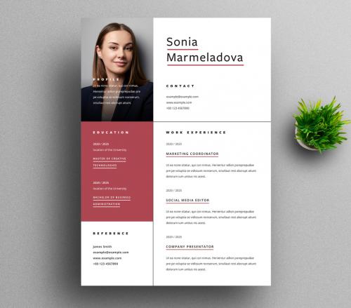 Professional Resume Layout with Red Accent - 442385207
