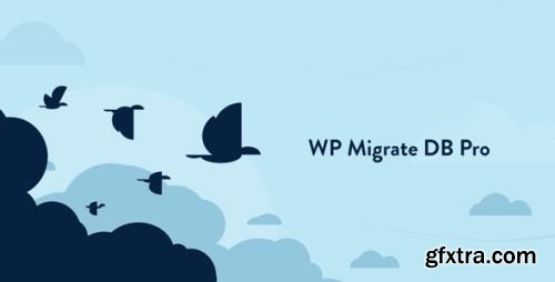 WP Migrate DB Pro v2.6.11 - Nulled