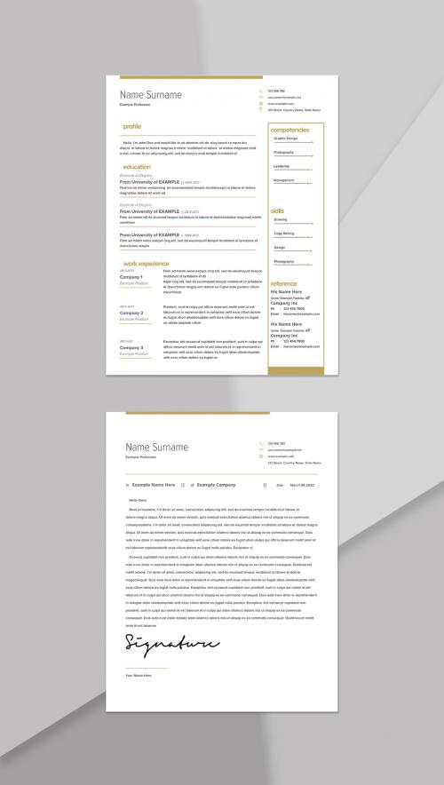 Resume Layout with Gold Accents - 442939420