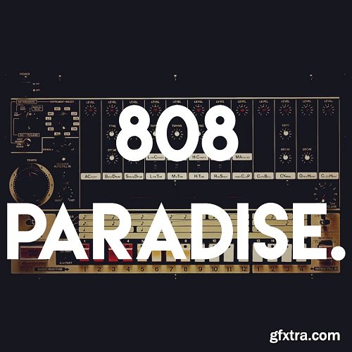 S-X 808 Paradise Sample Pack