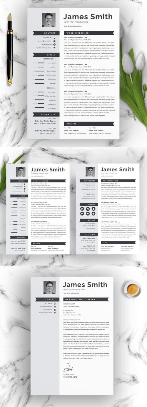 Professional Resume Layout - 445633919