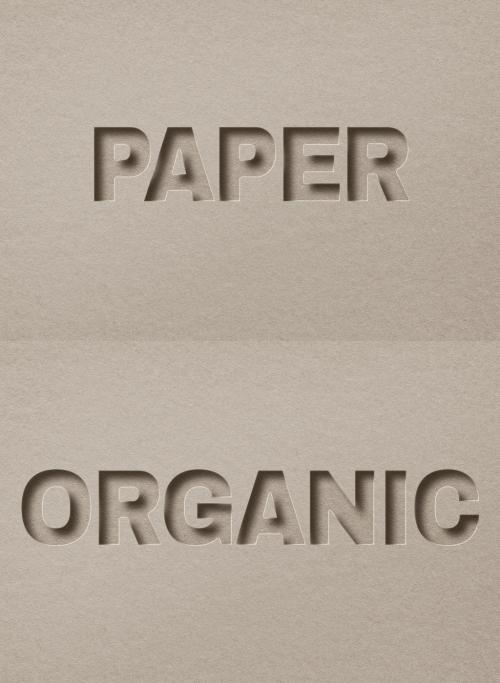 Paper Cut Editable Text Effect - 447310443