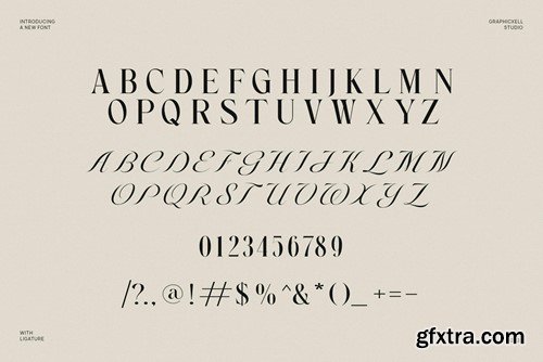 Newton Scient Calligraphy Serif Font Font Typeface 3S94SV6