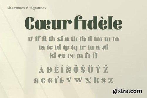 Modern and Elegant Serif Font 97X3ZYD