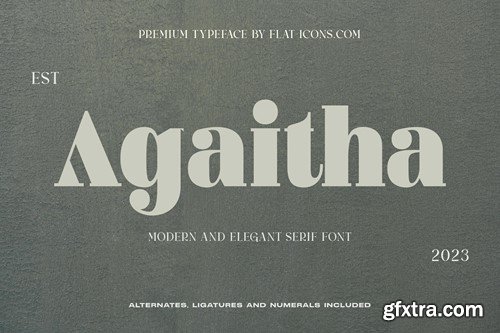 Modern and Elegant Serif Font 97X3ZYD