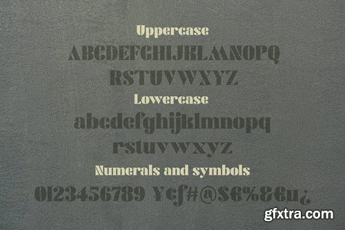 Modern and Elegant Serif Font 97X3ZYD