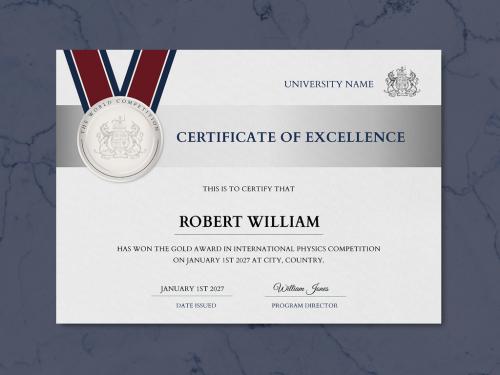 Professional Award Certificate Layout - 447310574