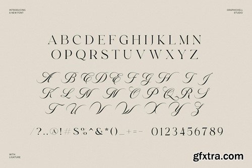 Times Stories Serif and Calligraphy Font Typeface EMR22HY