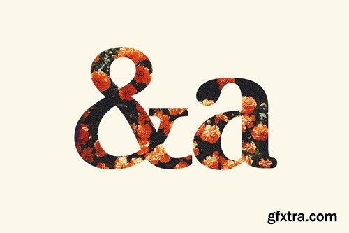 Antigravity Vintage Decorative Serif Typeface YL4BLZJ