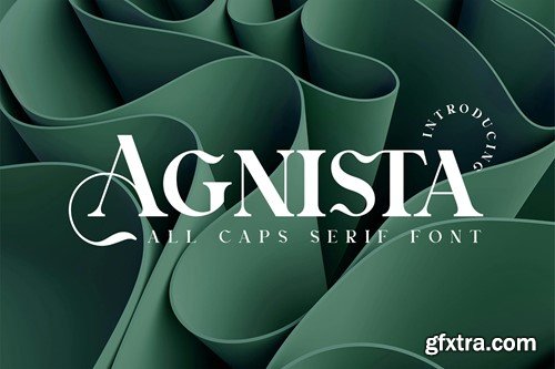 Agnista All Caps Serif Font R63EC49