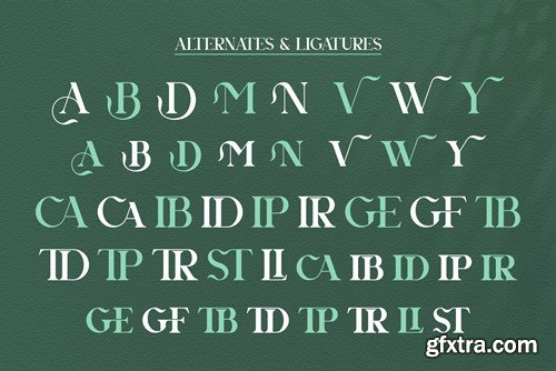 Agnista All Caps Serif Font R63EC49