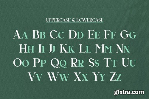 Agnista All Caps Serif Font R63EC49