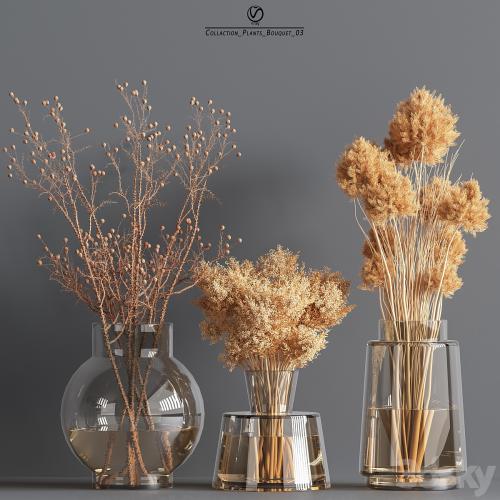 CollactionCollaction_Plants_Bouquet_03_vray