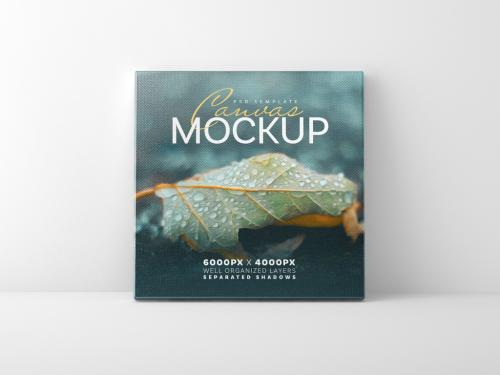 Square Canvas Mockup - 447783358