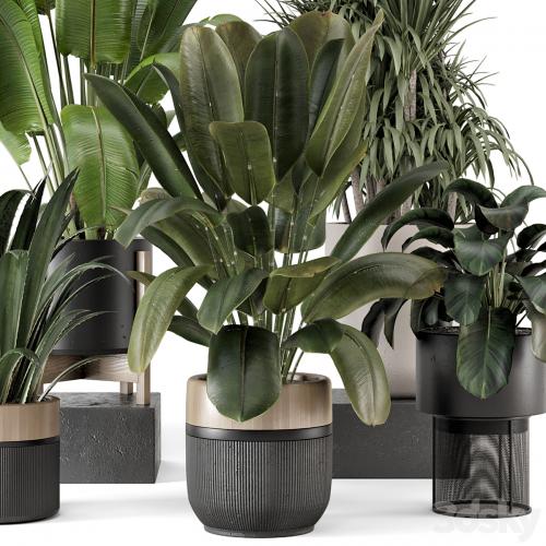 Indoor Plants in Ferm Living Bau Pot Large - Set 1947