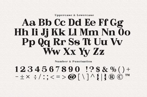 Bastine Modern Classy Serif Font
