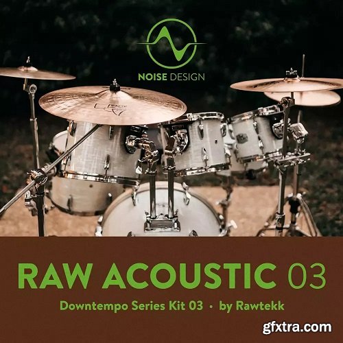 Steinberg Noise Design Raw Acoustic Downtempo 3