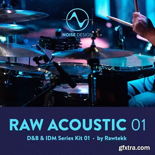 Steinberg Noise Design Raw Acoustic DnB & IDM 1