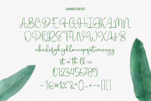 Citrus Cycle Script Font