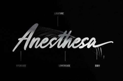 Anesthesa Handcrafted Script Font