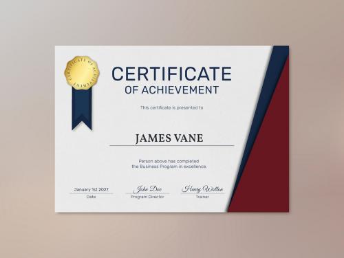 Professional Award Certificate Template - 450200065