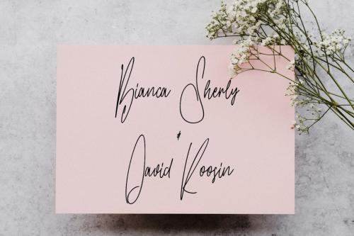 Plate Coast Signature Font