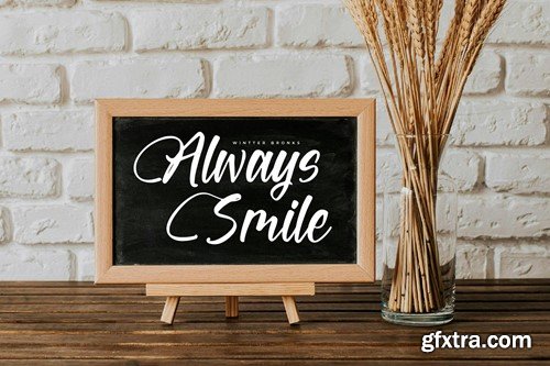 Wintter Bronks Modern Handwritten Script Font GAHYHP2