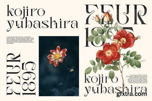 Ola Braga | Elagant Serif QPSFFVT