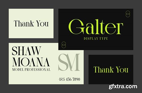 Galter - Modern Display Serif Typeface PAZPTLY