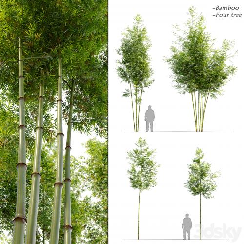 Four bamboo tree