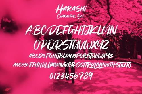 Harashi Handwritten Brush Font