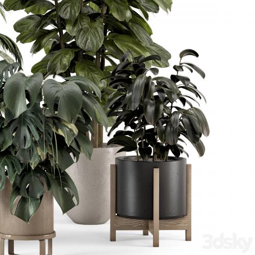 Indoor Plants in Ferm Living Bau Pot Large - Set 1361