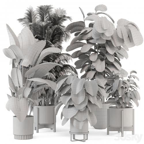 Indoor Plants in Ferm Living Bau Pot Large - Set 1361