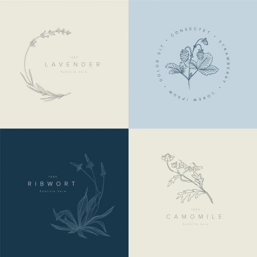 Minimalist Floral Logo Title Frames Collection - 454210432