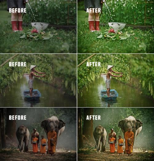 Before and After Photo Effect  - 454407665