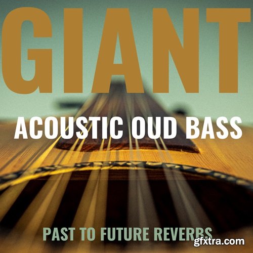 PastToFutureReverbs Giant Acoustic Round-Back Fretless Bass