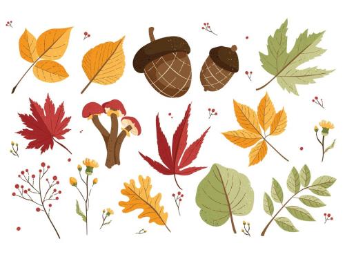 Autumn Fall Leaves Leaf Illustrations Autumnal Foliage Clipart - 454411976