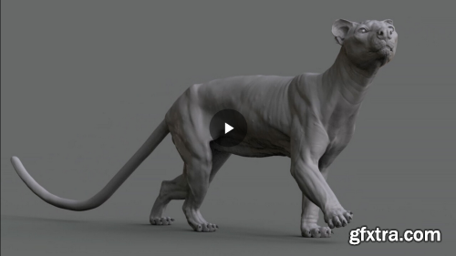 The Gnomon Workshop - Animal Anatomy - Modeling a Fossa