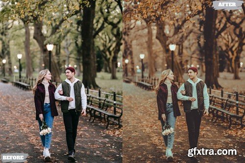 Valentine Classic Lightroom Presets Dekstop Mobile R6N69VC