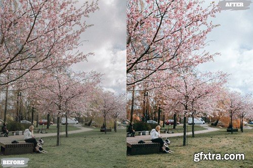 Spring City Lightroom Presets Dekstop and Mobile HDTGU25