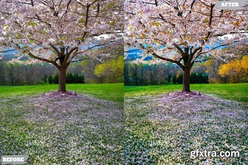 Spring City Lightroom Presets Dekstop and Mobile HDTGU25