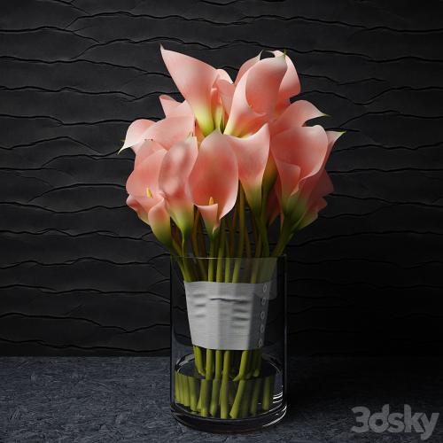 Pink callas